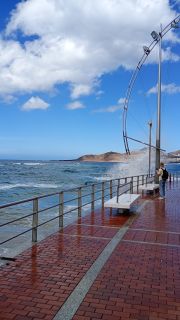 GC-Playa Las Canteras 2026-088.jpg
